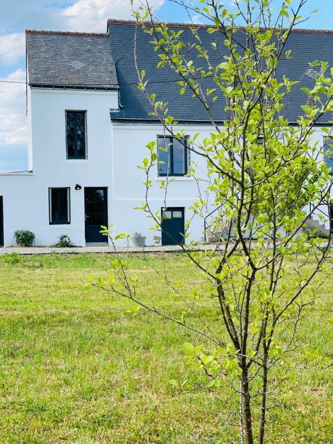 La Grange Du Pigeonnier Authenticity And Gentleness 10 Minutes From Tours Villa La Riche Exteriör bild